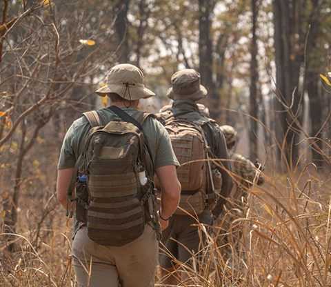 Walking Safari with a guide through the wilderness to see Kafue ecosystem
