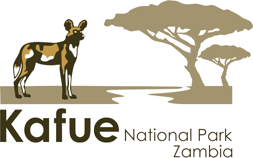 Visit Kafue